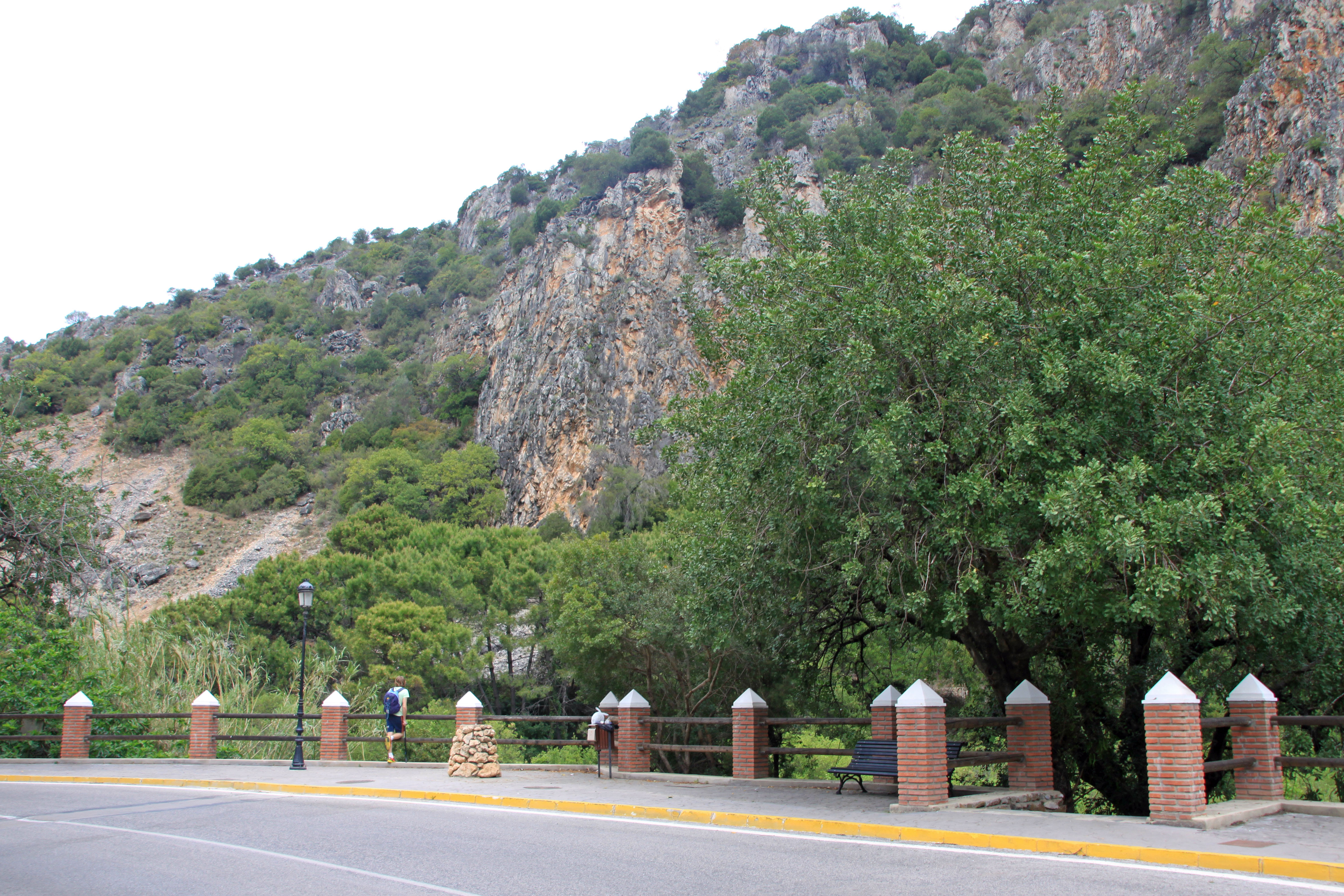 Benahavís Straße mit malerischer Landschaft, Berg und Grün.